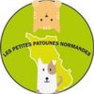 Les-Petites-Patounes-Normandes-3hBjX