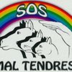 SOS-ANIMAL-TENDRESSE-RyCQW