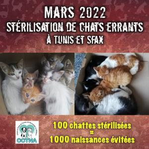 Fonds d'urgence CCTNA - Mars 2022