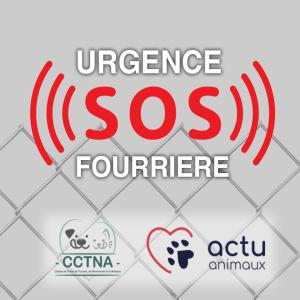 Fonds d'urgence CCTNA - Mois d'Octobre 2024