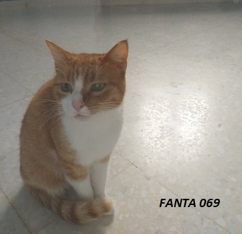 Fanta69