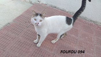 Foufou