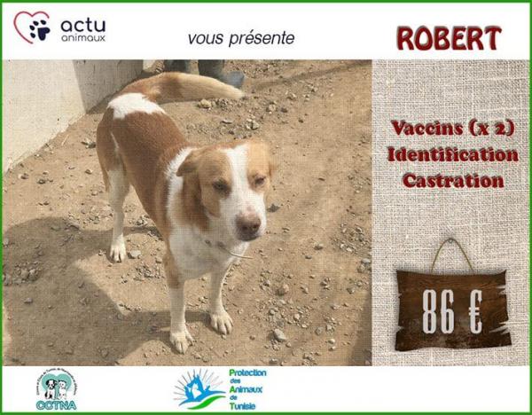 rober 1