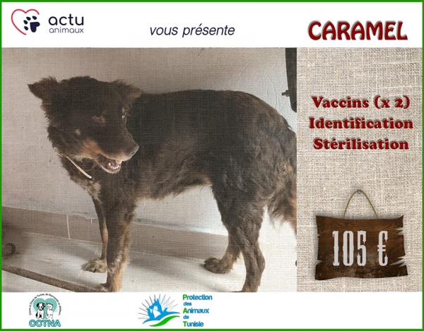 F01 Caramelbis