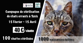 campagne CCTNA