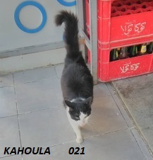 kahoula