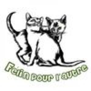 Association-Felin-pour-l-autre-7FoPW