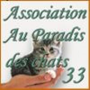 Au-paradis-des-chats-1eMVq