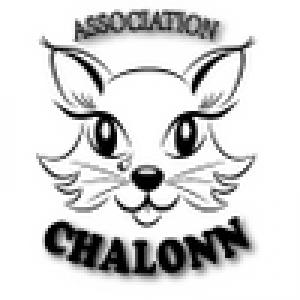 CHALONN-NrQwb