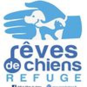 REFUGE-REVES-DE-CHIENS-eYII7