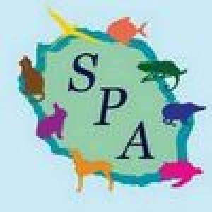 SPA-de-la-REUNION--SOCIETE-PROTECTRICE-DES-ANIMAUX--pDPSf