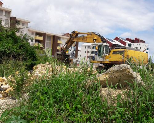 chantier chiens2