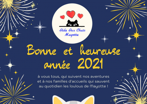 bonne annee chats mayotte 1