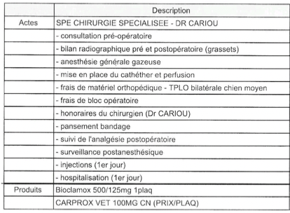 operation Sissi